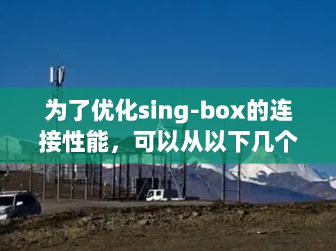 为了优化sing-box的连接性能,可以从以下几个方面进行系统性的优化 为了优化sing-box的连接性能,可以从以下几个方面进行系统性的优化