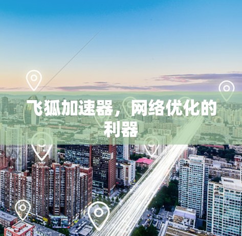 飞狐加速器,网络优化的利器 飞狐加速器,网络优化的利器