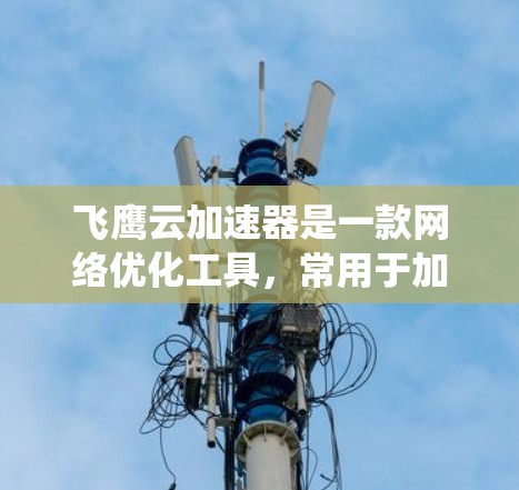 飞鹰云加速器是一款网络优化工具,常用于加速访问国外网站、下载大文件或绕过网络限制。以下是关于飞鹰云加速器的详细信息和下载指南 飞鹰云加速器是一款网络优化工具,常用于加速访问国外网站、下载大文件或绕过网络限制。以下是关于飞鹰云加速器的详细信息和下载指南