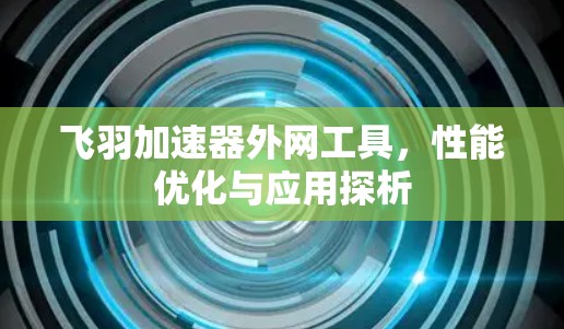 飞羽加速器外网工具,性能优化与应用探析 飞羽加速器外网工具,性能优化与应用探析