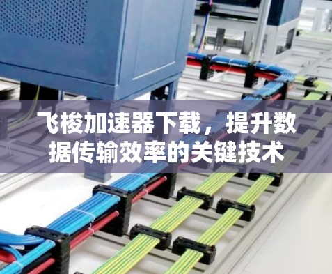 飞梭加速器下载,提升数据传输效率的关键技术 飞梭加速器下载,提升数据传输效率的关键技术