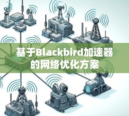 基于Blackbird加速器的网络优化方案 基于Blackbird加速器的网络优化方案