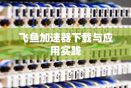 飞鱼加速器下载与应用实践
