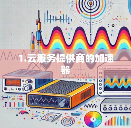 1.云服务提供商的加速器 1.云服务提供商的加速器