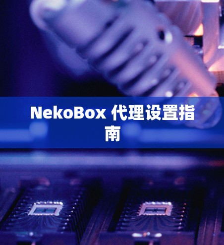 NekoBox 代理设置指南