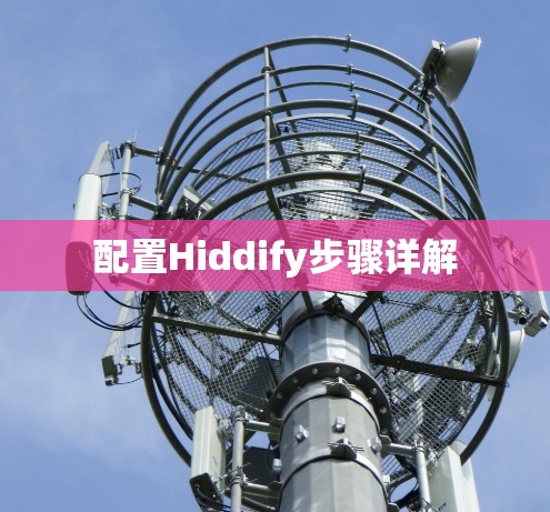 配置Hiddify步骤详解