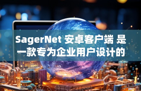 SagerNet 安卓客户端 是一款专为企业用户设计的网络应用，提供了多种功能以满足企业用户的需求。以下是对 SagerNet 安卓客户端 的详细分析和总结