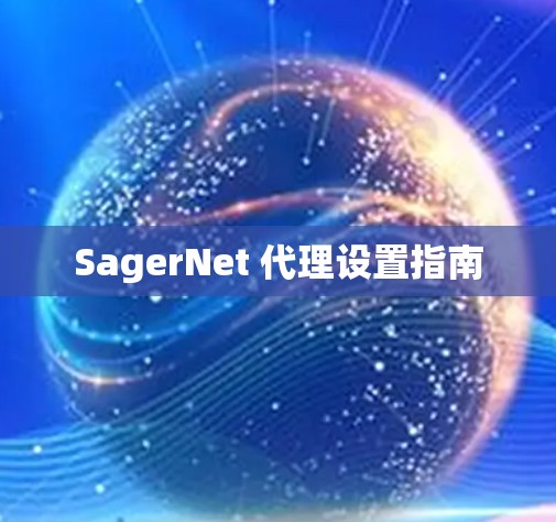 SagerNet 代理设置指南 SagerNet 代理设置指南