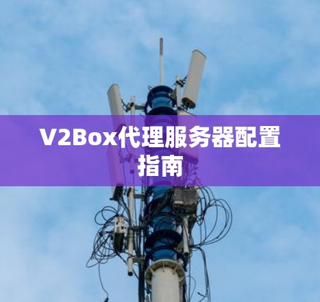 V2Box代理服务器配置指南 V2Box代理服务器配置指南