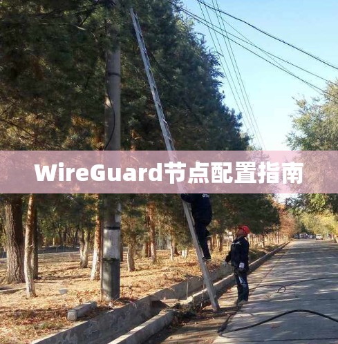 WireGuard节点配置指南 WireGuard节点配置指南