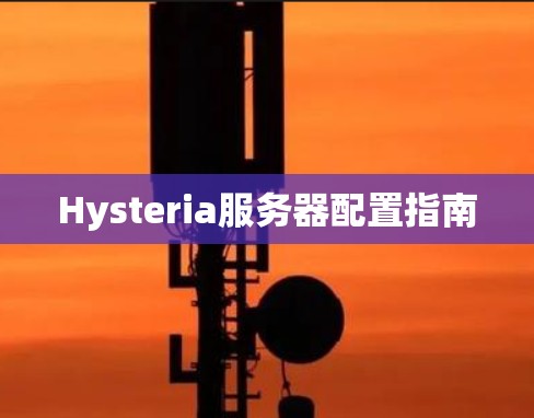 Hysteria服务器配置指南 Hysteria服务器配置指南