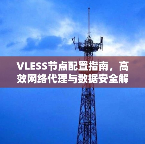 VLESS节点配置指南,高效网络代理与数据安全解决方案 VLESS节点配置指南,高效网络代理与数据安全解决方案