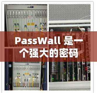 PassWall 是一个强大的密码管理器，帮助用户管理和保护多账户的密码。以下是配置PassWall的详细步骤