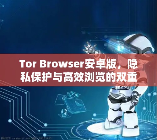 Tor Browser安卓版,隐私保护与高效浏览的双重利弊 Tor Browser安卓版,隐私保护与高效浏览的双重利弊