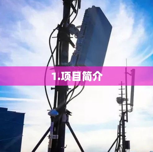 1.项目简介 1.项目简介