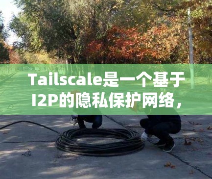 Tailscale是一个基于I2P的隐私保护网络,提供匿名性和安全的加密连接。以下是使用Tailscale的分步指南 Tailscale是一个基于I2P的隐私保护网络,提供匿名性和安全的加密连接。以下是使用Tailscale的分步指南
