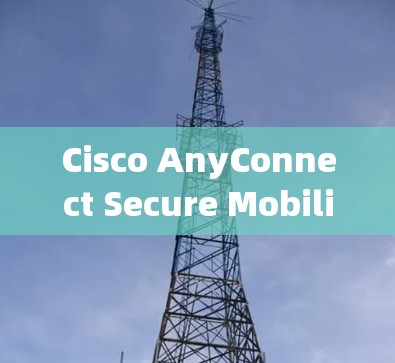 Cisco AnyConnect Secure Mobility配置与使用教程 Cisco AnyConnect Secure Mobility配置与使用教程