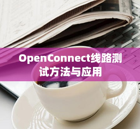 OpenConnect线路测试方法与应用