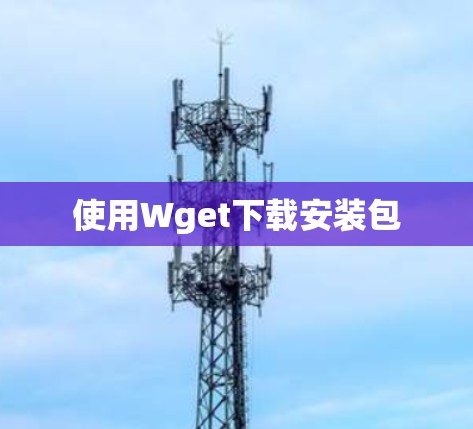 使用Wget下载安装包