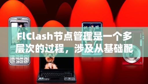 FlClash节点管理是一个多层次的过程，涉及从基础配置到高级功能的多个方面。以下是对FlClash节点管理的详细总结