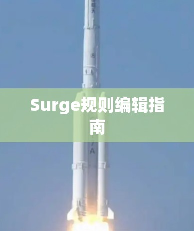 Surge规则编辑指南 Surge规则编辑指南