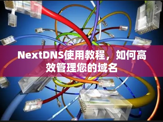 NextDNS使用教程，如何高效管理您的域名