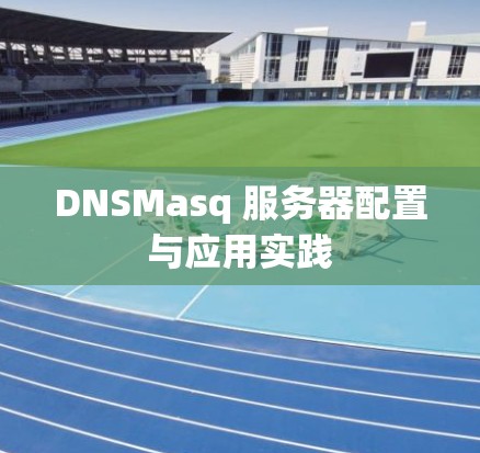 DNSMasq 服务器配置与应用实践 DNSMasq 服务器配置与应用实践