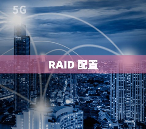 RAID 配置 RAID 配置