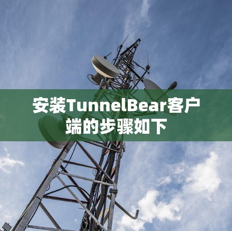 安装TunnelBear客户端的步骤如下 安装TunnelBear客户端的步骤如下