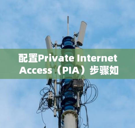 配置Private Internet Access(PIA)步骤如下 配置Private Internet Access(PIA)步骤如下
