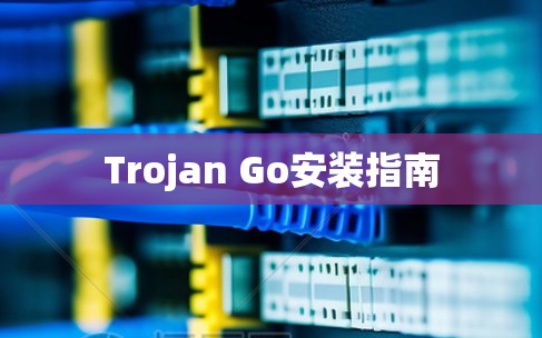 Trojan Go安装指南 Trojan Go安装指南