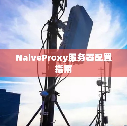 NaiveProxy服务器配置指南 NaiveProxy服务器配置指南