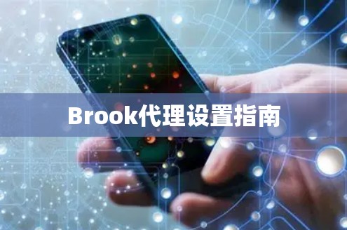 Brook代理设置指南 Brook代理设置指南