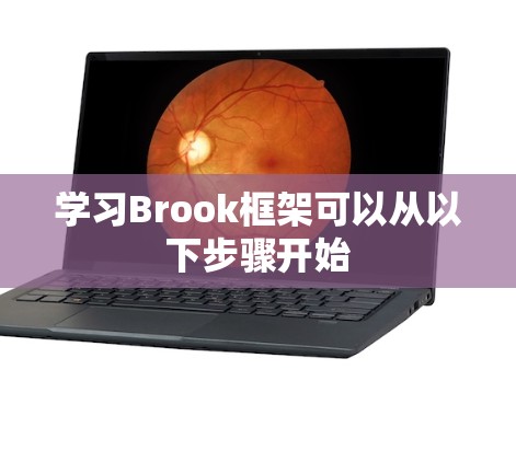 学习Brook框架可以从以下步骤开始 学习Brook框架可以从以下步骤开始