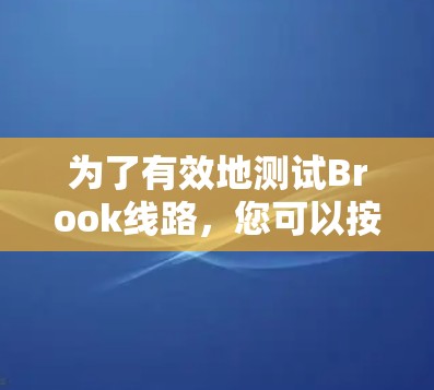 为了有效地测试Brook线路,您可以按照以下步骤进行 为了有效地测试Brook线路,您可以按照以下步骤进行