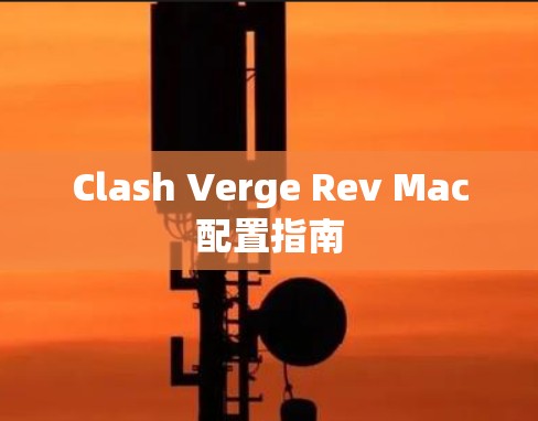 Clash Verge Rev Mac配置指南