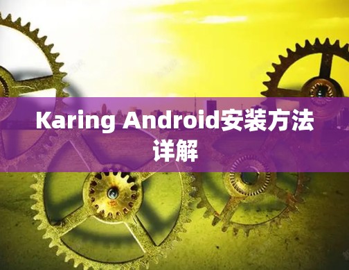 Karing Android安装方法详解 Karing Android安装方法详解