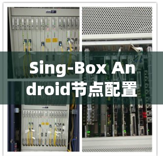 Sing-Box Android节点配置指南 Sing-Box Android节点配置指南