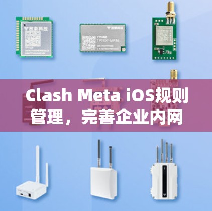 Clash Meta iOS规则管理,完善企业内网安全防护 Clash Meta iOS规则管理,完善企业内网安全防护