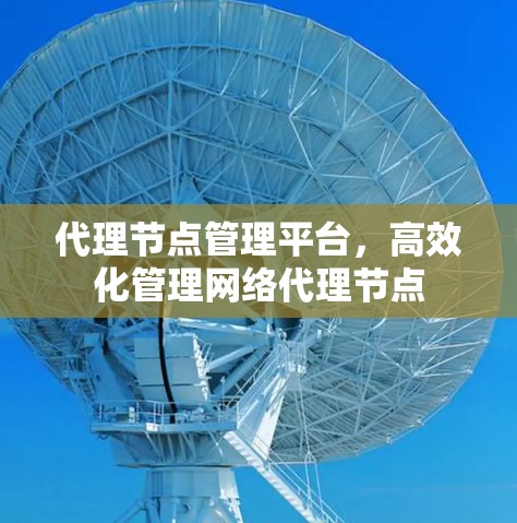 代理节点管理平台,高效化管理网络代理节点 代理节点管理平台,高效化管理网络代理节点