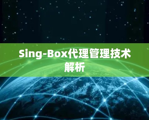 Sing-Box代理管理技术解析 Sing-Box代理管理技术解析