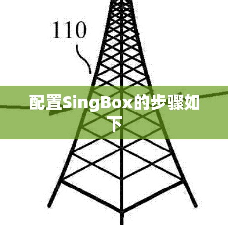配置SingBox的步骤如下 配置SingBox的步骤如下