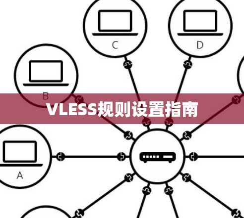 VLESS规则设置指南 VLESS规则设置指南
