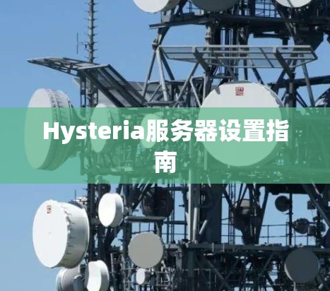Hysteria服务器设置指南 Hysteria服务器设置指南