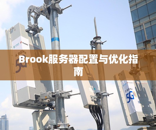 Brook服务器配置与优化指南 Brook服务器配置与优化指南