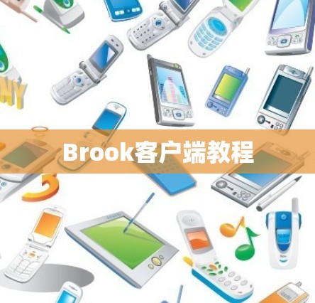 Brook客户端教程 Brook客户端教程