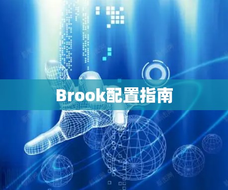Brook配置指南