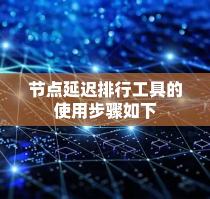 节点延迟排行工具的使用步骤如下