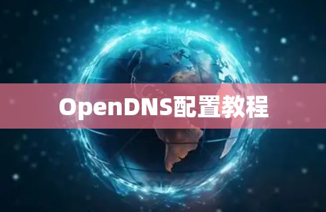 OpenDNS配置教程 OpenDNS配置教程