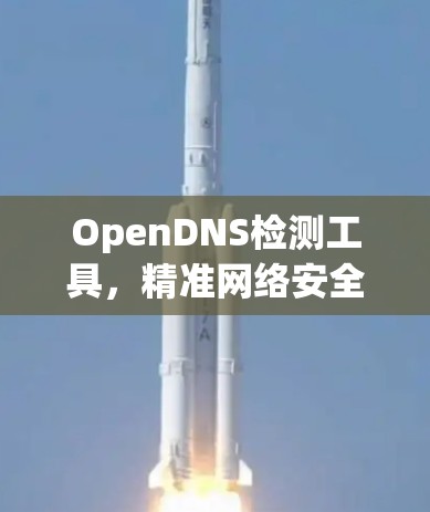 OpenDNS检测工具,精准网络安全的秘密武器 OpenDNS检测工具,精准网络安全的秘密武器